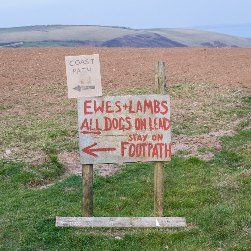 I guess I’ll go left then, Downend Point, Cornwall.