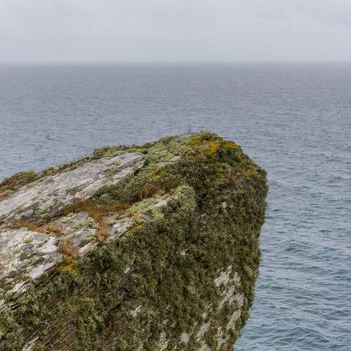 Lichen covered rock at Pencarrow Head, Cornwall.