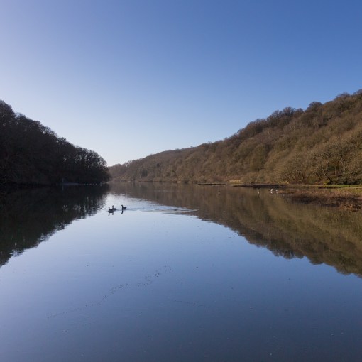 River Fowey from Shirehall Moor, Cornwall.