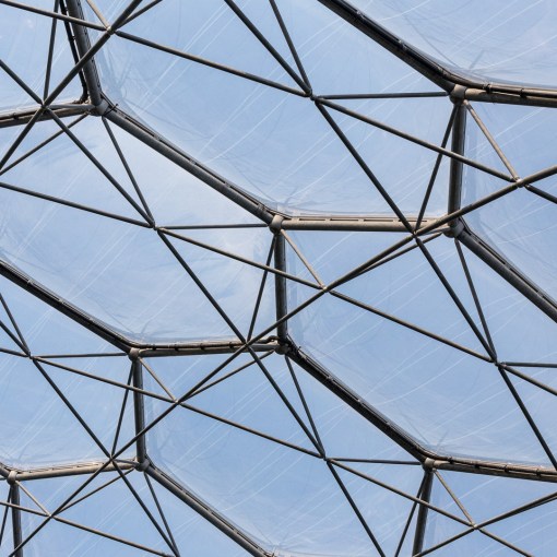 Eden Project interior detail I, Cornwall.