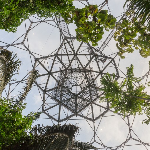 Rainforest Lookout, Eden Project, Cornwall.