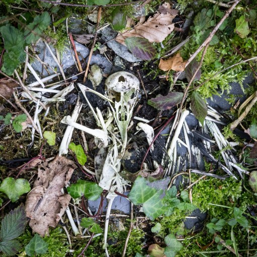 Merther Church IV, Cornwall
