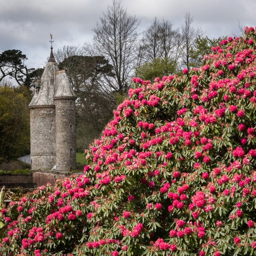 The Water Tower, Trelissick Gardens, Cornwall.