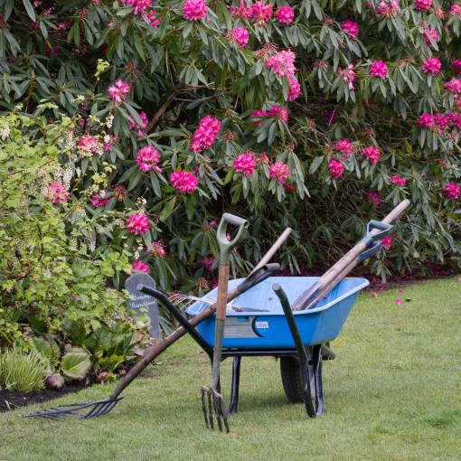 Trelissick Gardens, Cornwall.