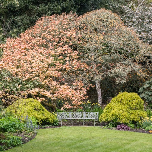Seat at Trelissick Gardens , Cornwall.