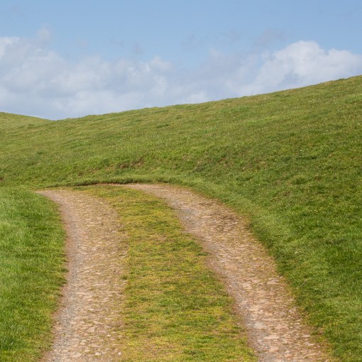 Track to Nare Point, Cornwall.