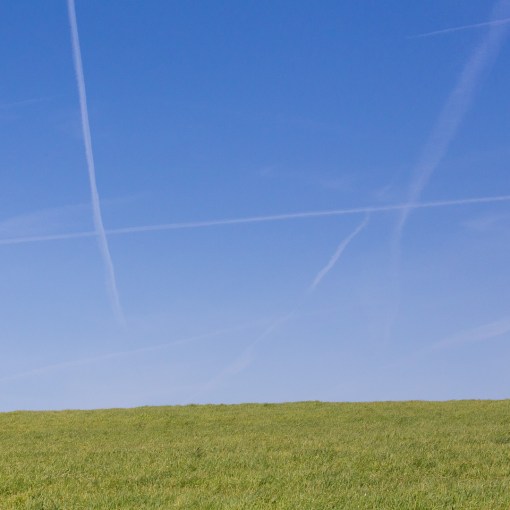 Halzephron Cliff II, Cornwall.