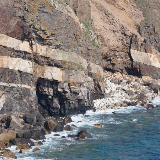 Strata of pale granitic pegmatites and black metasediment, Tremearne Cliff, Cornwall.