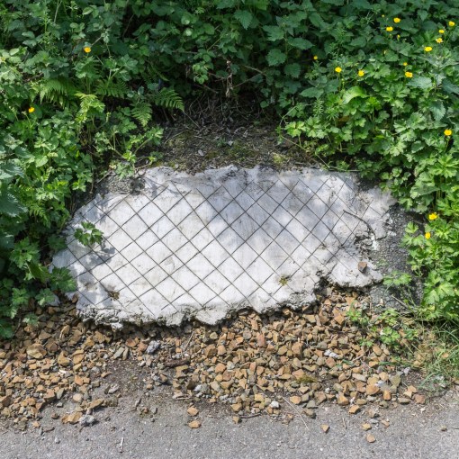 Path patch, Newlyn, Cornwall.