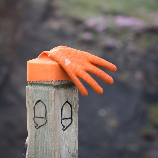 A tight fit, Penhale Point, Cornwall.