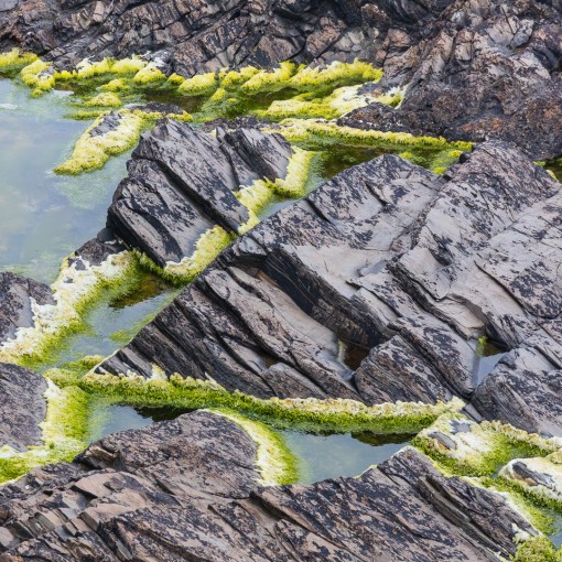 Trevone Bay, Cornwall.