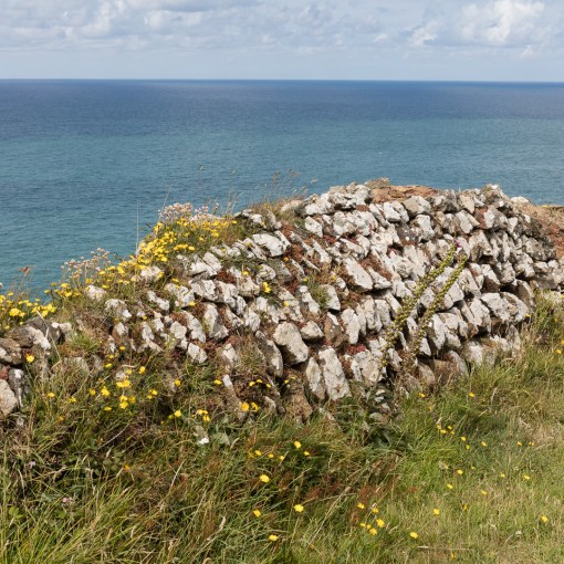 Dry stone wall near Pentire Point, Cornwall.