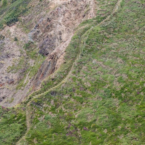 Coast path up Yeolmouth Cliff, Cornwall.