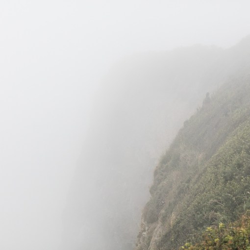 Cliff below Embury Beacon, Devon.