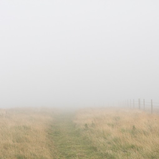 Coast path at Nabor Point, Devon.