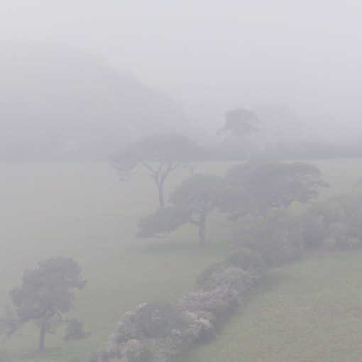 Porth Navas, Cornwall.
