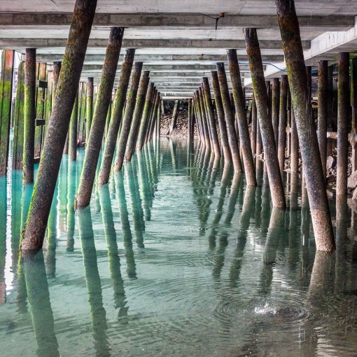 Stevenson fish packing plant I, Newlyn Harbour, Cornwall.