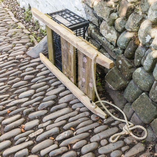 Sledge II, Clovelly, Devon.