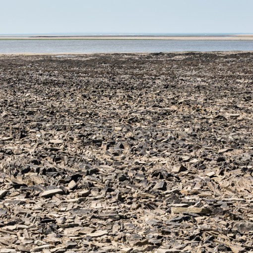 The Black Ground, Low tide on the Taw/Torridge estuary, Devon