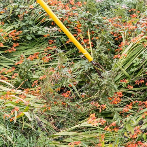 Rillage Point, Devon.