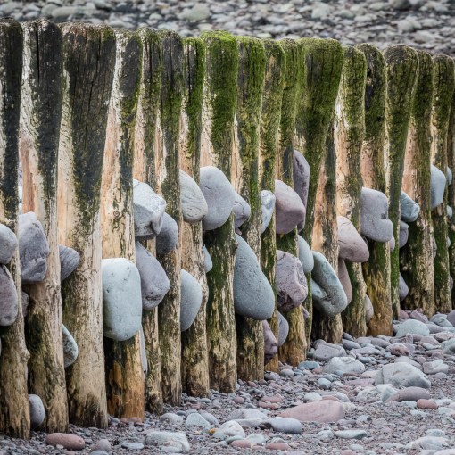 Groynes, Porlock beach, Somerset.