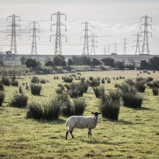 Pylons leaving Hinkley Point B nuclear power station, Somerset.