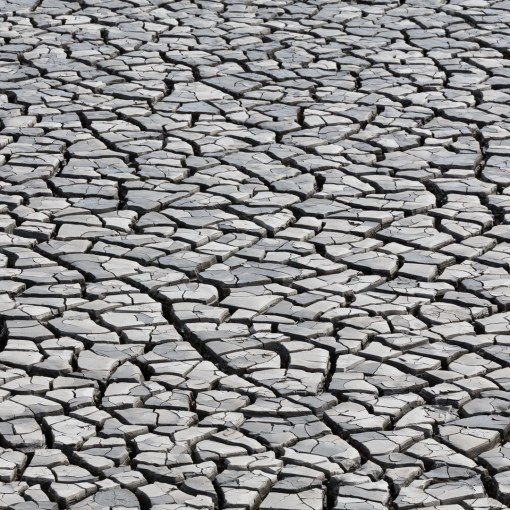 Steart Marshes, Somerset.