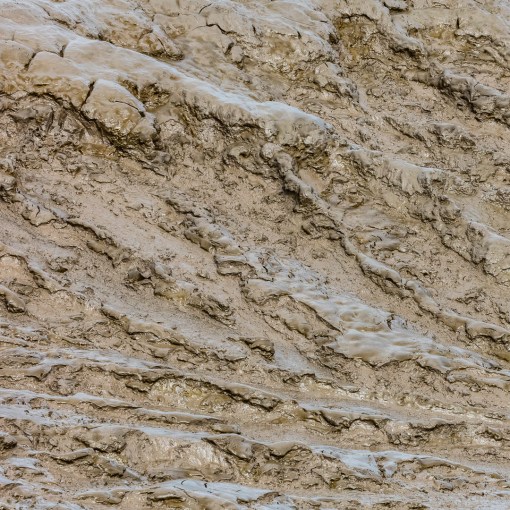 River Parrett mud I, Somerset.