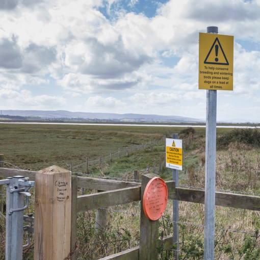 Only in England, Pawlett Level, Somerset.