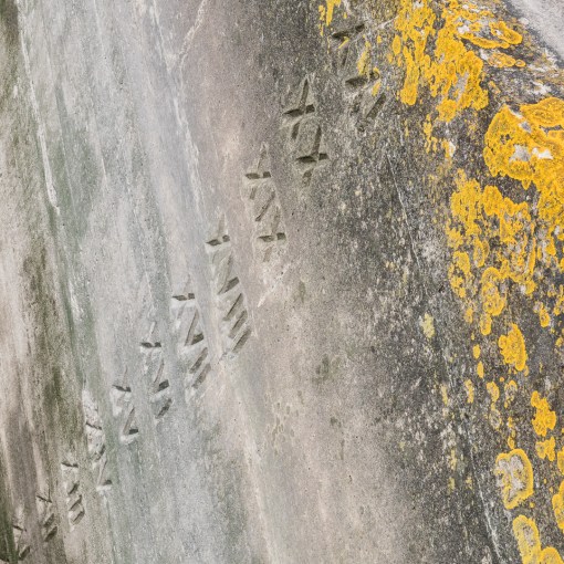 Huntspill Sluice, Pawlett Level, Somerset.