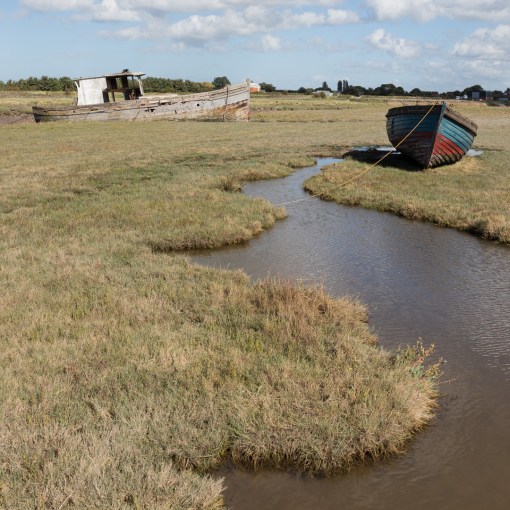 Brue Pill I, Somerset.