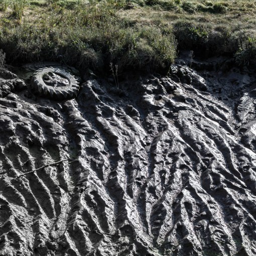 Brue Pill III, Somerset.