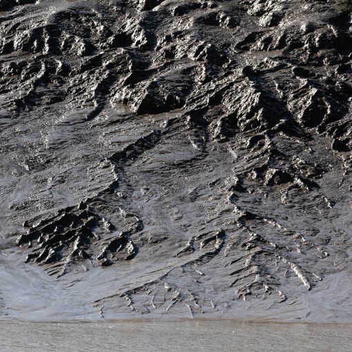 Brue Pill IV, Somerset.