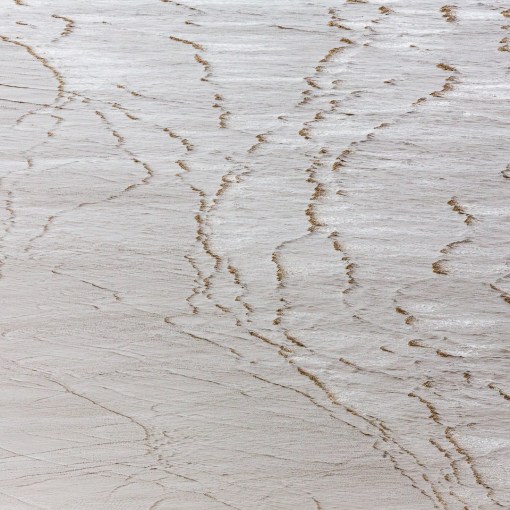 Berrow Flats I, Somerset.