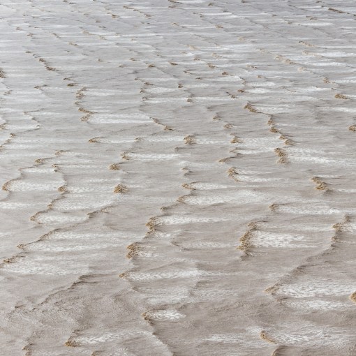 Berrow Flats VI, Somerset.