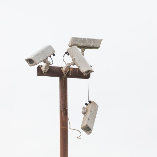 Fallen off the perch, near Birnbeck Pier, Weston-super-Mare, Avon.