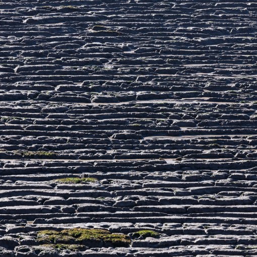 Mud ridges, Sand Bay, Avon.