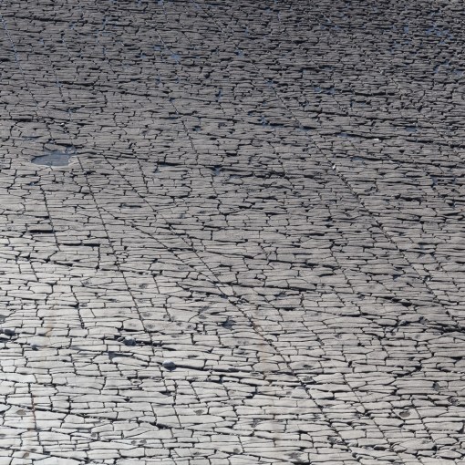 Rhoose Point, shore platform, Glamorgan.