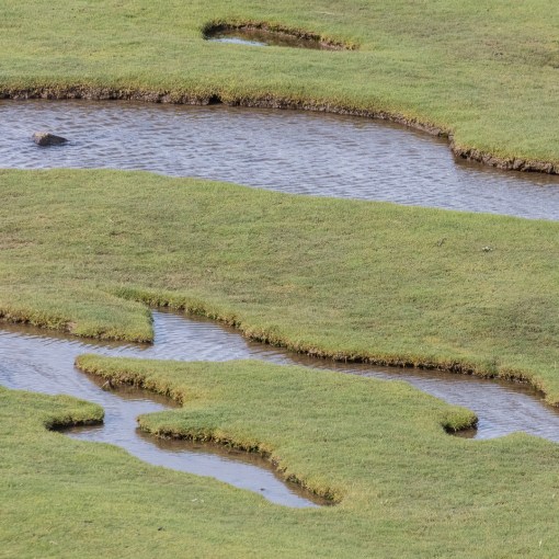 Ogmore River, tidal banks, Glamorgan.