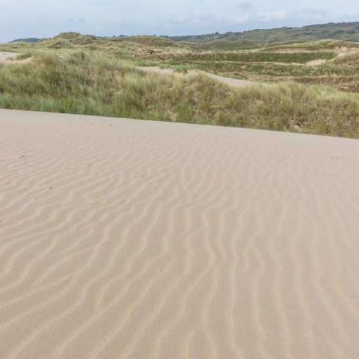 Merthyr Mawr Dunes I, Glamorgan.