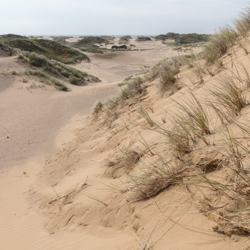 Merthyr Mawr Dunes II, Glamorgan.