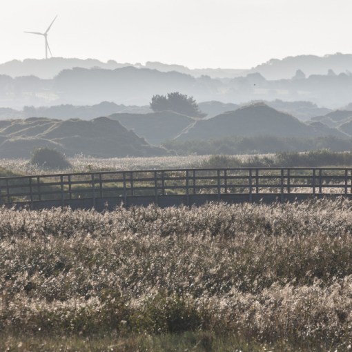 Margam Moors, Glamorgan.