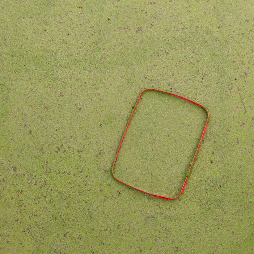 Duckweed &amp; Container, drainage ditch, Wick St Lawrence, Avon.