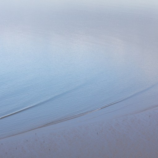 Oystercatchers, Broughton Bay, Gower, Glamorgan.