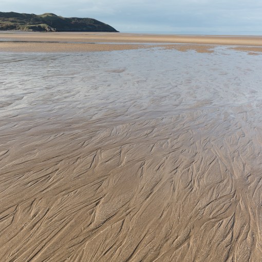 Broughton Burrows, Gower, Glamorgan.