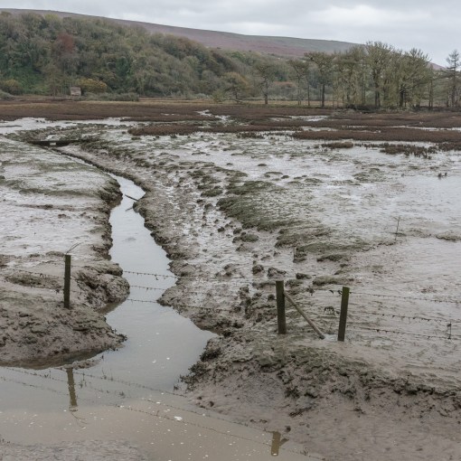 Flooded Fields, Cwm Ivy Marsh, Gower, Glamorgan.