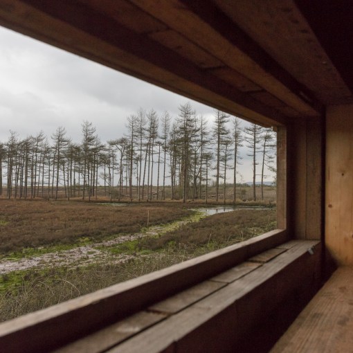 Bird Hide, Cwm Ivy Marsh, Gower, Glamorgan.