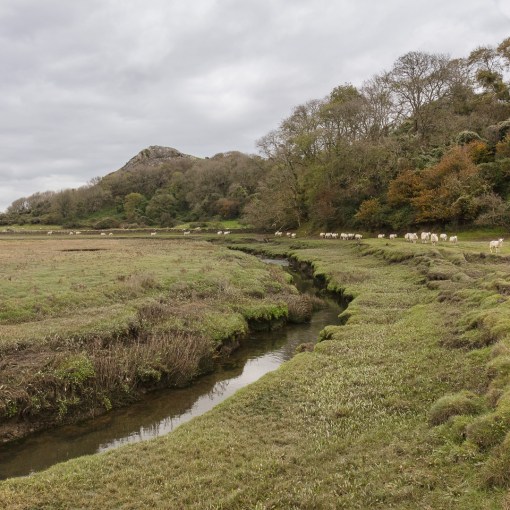 Burry Pill, Landimore Marsh, Gower, Glamorgan.