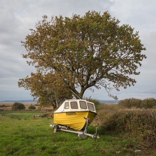 Phoenix, Llanrhidian, Gower, Glamorgan.