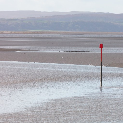 River Loughor, Dyfed.